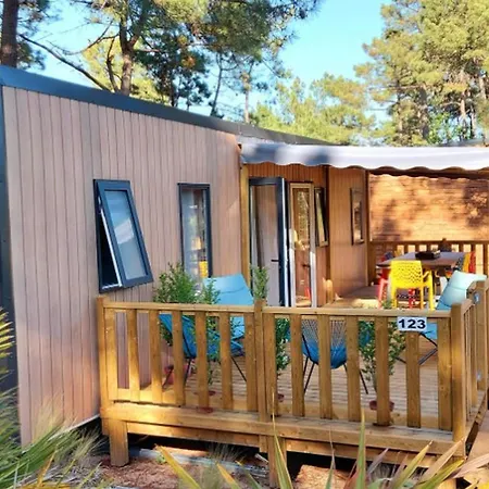 Campsite Avec Acces Handicape - Terrasse - Api-1-52-1128